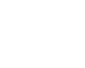Firewalk Studios