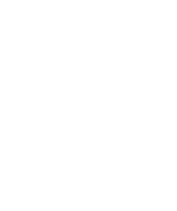 Nerial