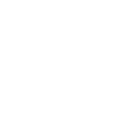 Stray Bombay